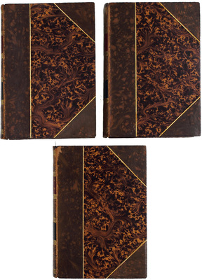 [В роскошных «тарасовских» переплетах]. Полонский Я.П. Полное собрание стихотворений Я.П. Полонского. В 5 т. Т. 1—5 / Изд. просмотрено автором; с двумя портретами, гравированными на стали Ф.А. Брокгаузом в Лейпциге. СПб.: Изд. А.Ф. Маркса, 1896.